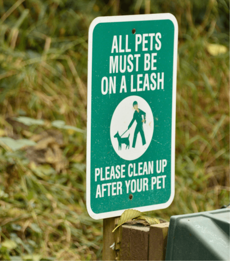 leash law - dog bites